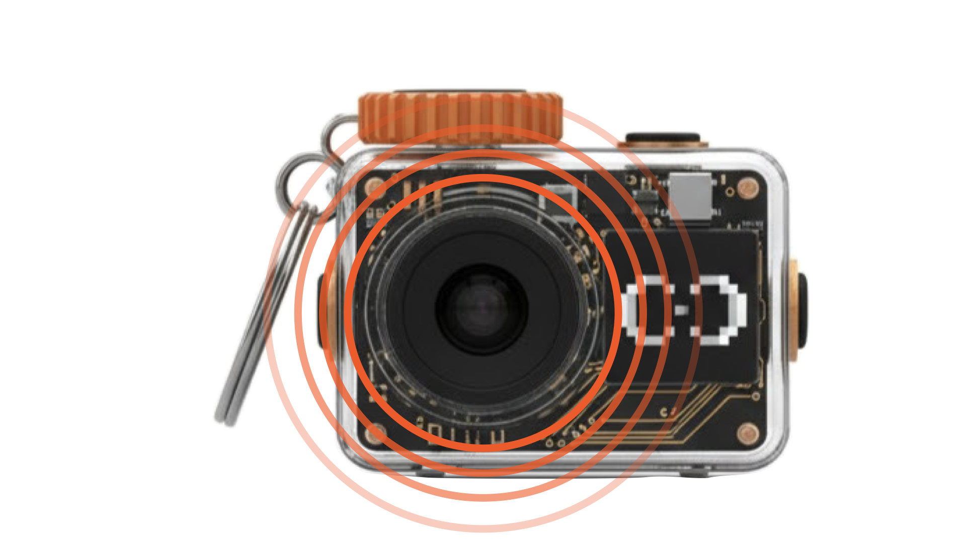 Curiosity Lens exploring nature